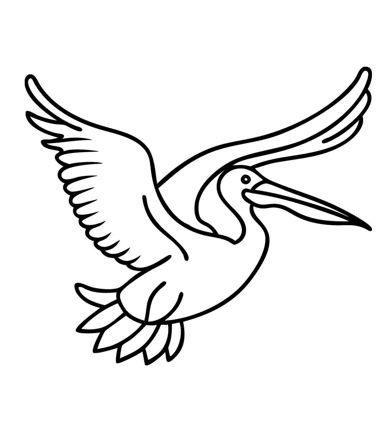 pelican in flight coloring page
