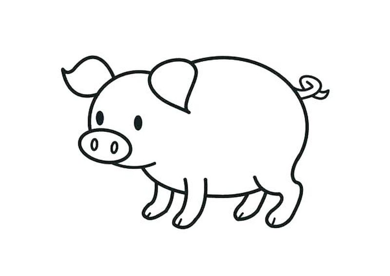peppa pig daddy pig coloring pages