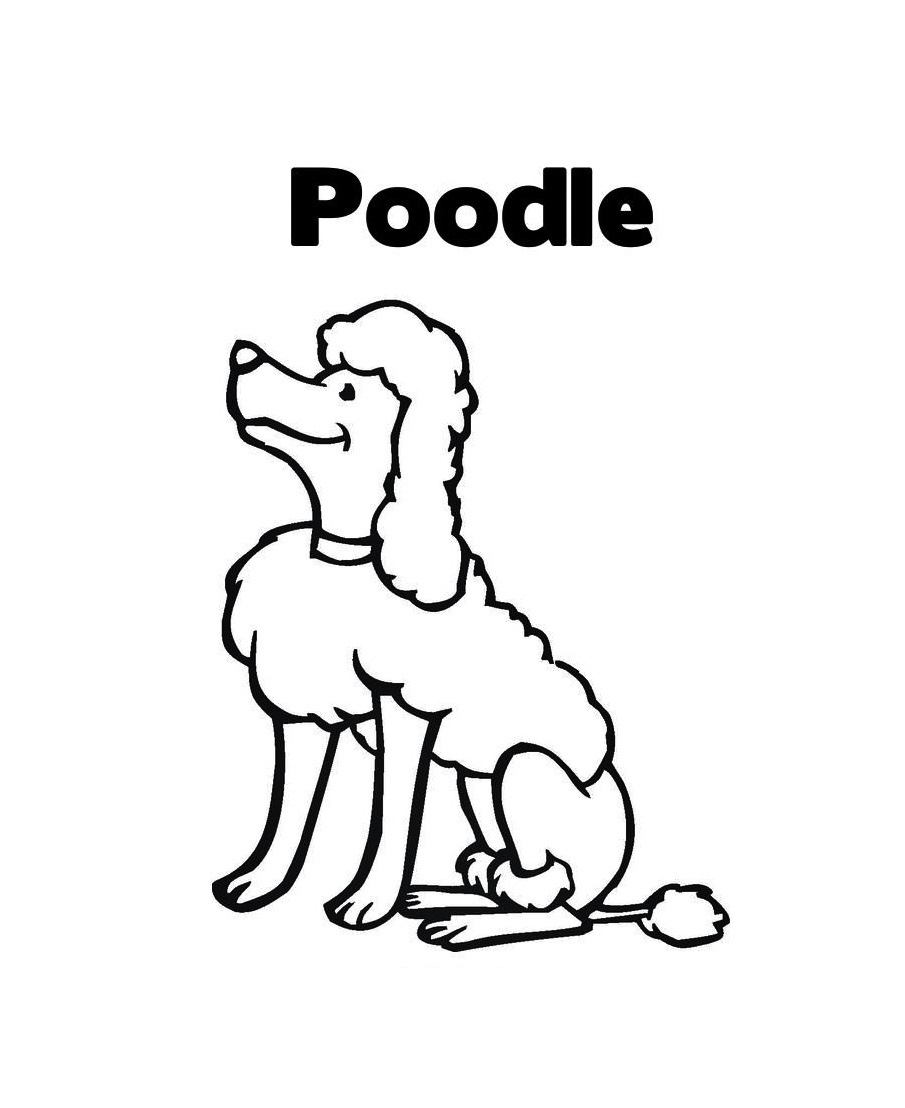 Cute Curly Poodle Coloring Page 2 poodle coloring page pdf