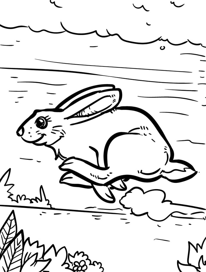 Rabbit Coloring Pages for Kids 6 rabbit coloring pages
