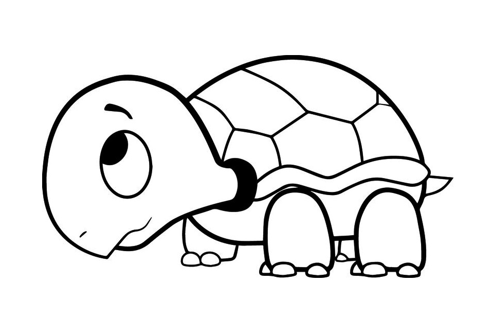 Say Hello to the Baby Turtle Coloring Page 3 Baby Turtle Coloring Page for Kids