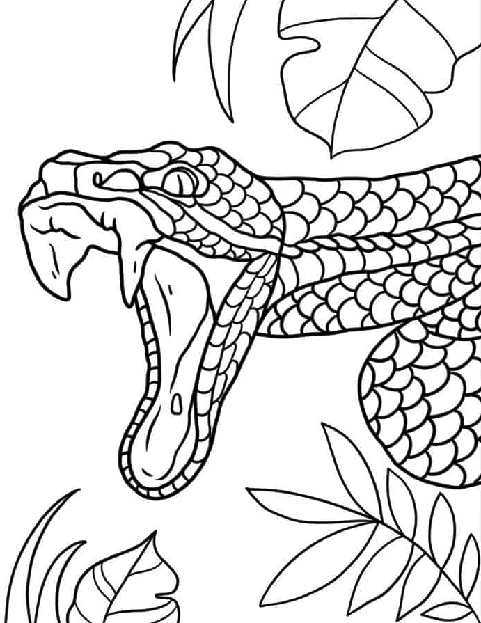 Snake Coloring Page 4 Coloring Page Of Snake Attacking