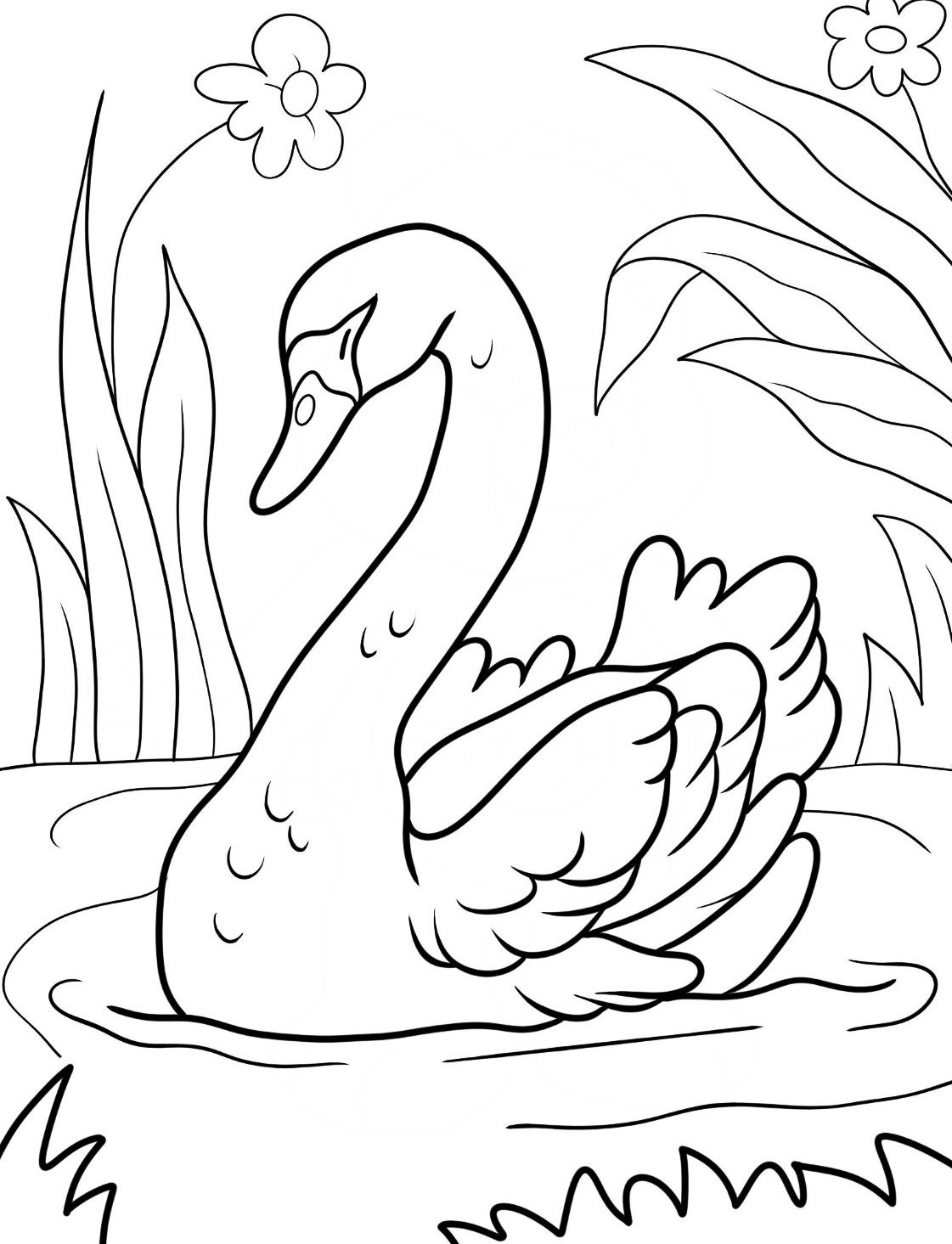 The Graceful Bird Swan Coloring Page 5 Coloring Page Swan