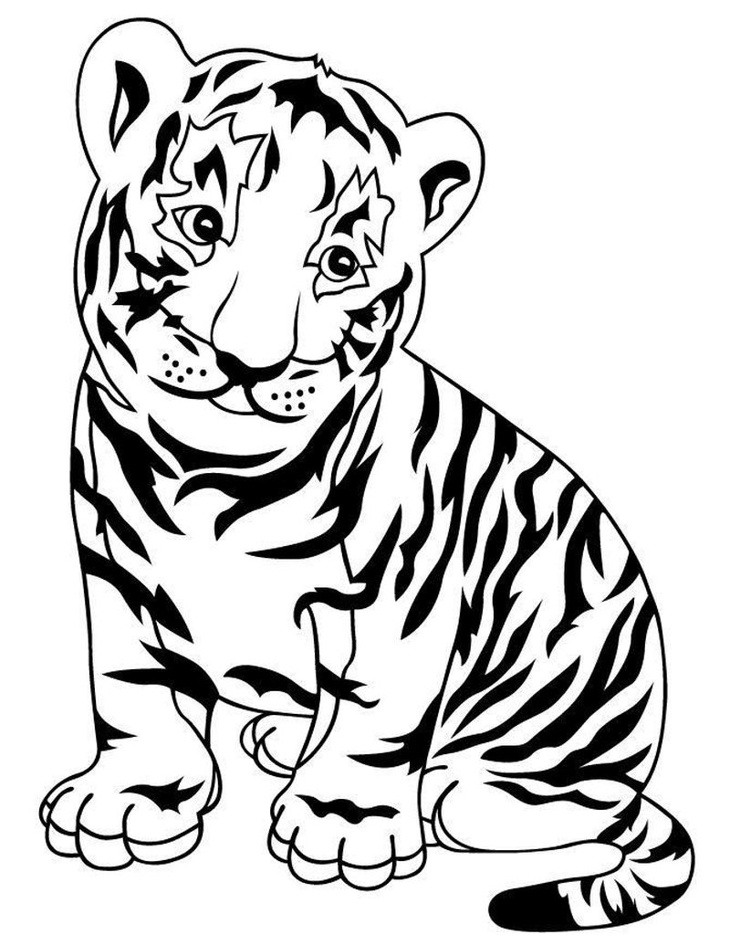 Baby Tiger Coloring Page 2 Daniel Tiger Birthday Coloring Pages