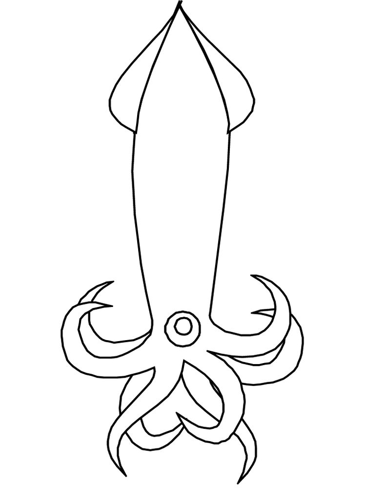 Squid Coloring Page 1 Free Squid Coloring Pages Printable