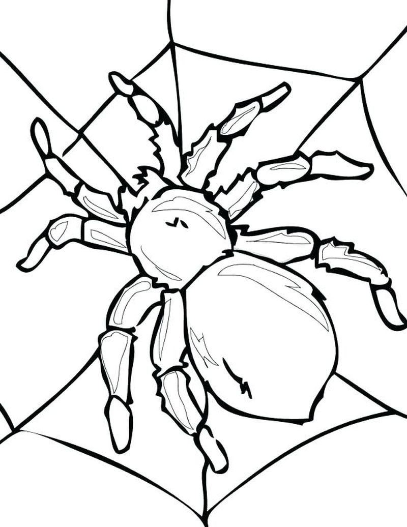 Spider Coloring Pages 2 Halloween Spider Coloring Pages Printable