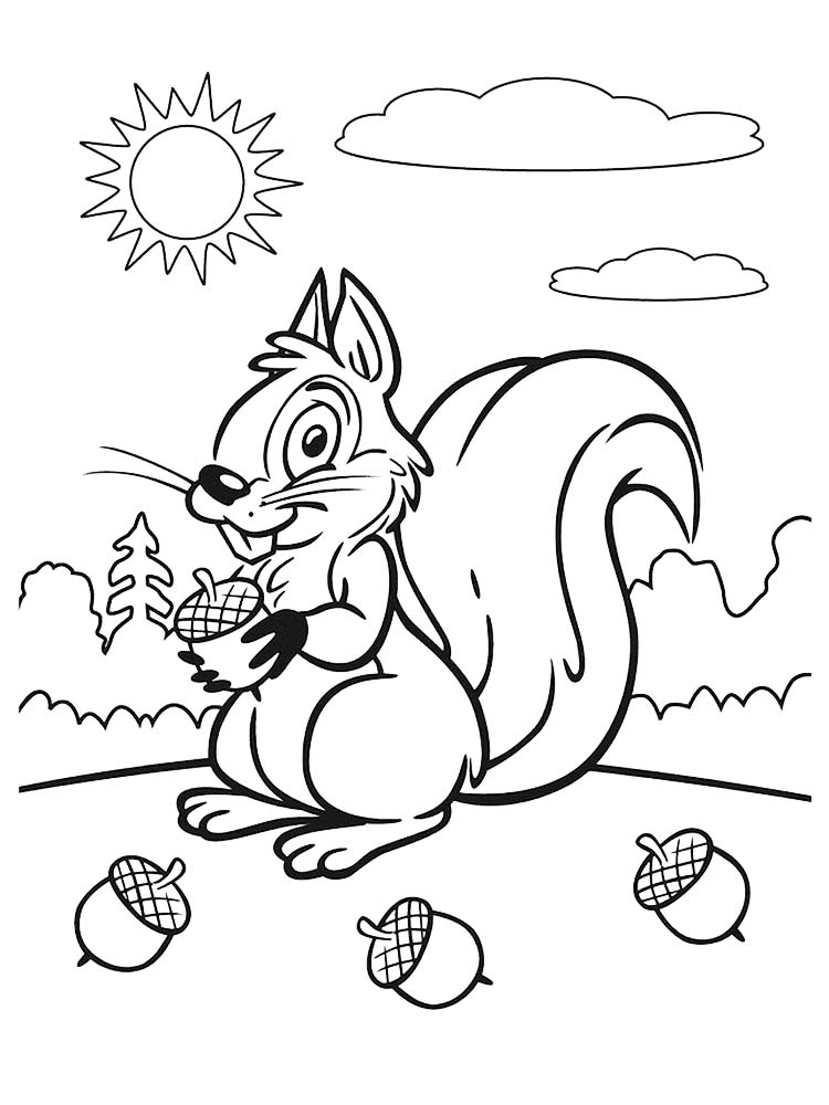 Agile and Smart Animals Squirrel Coloring Page 2 Printable Squirrel Coloring Page