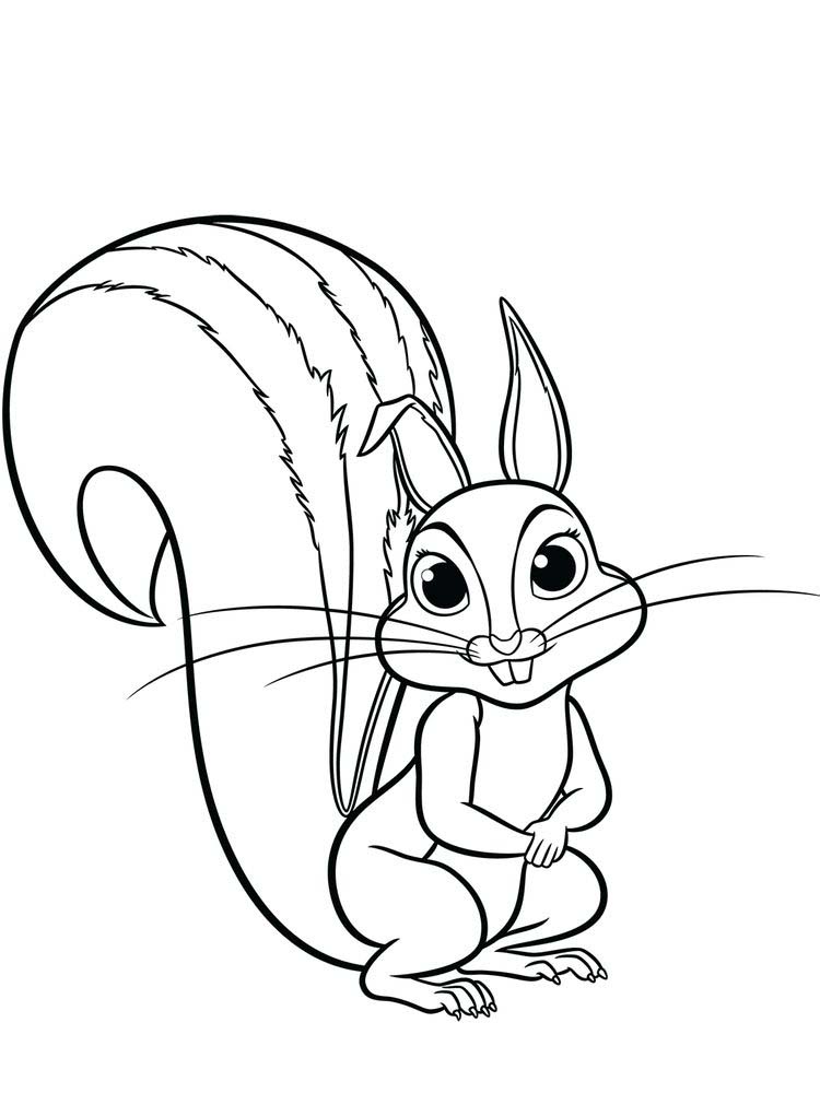 Agile and Smart Animals Squirrel Coloring Page 3 Printable Squirrel Coloring Pages Outline