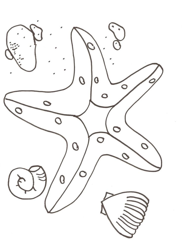 Starfish Coloring Page 4 Printable Starfish Coloring Pages For Preschoolers