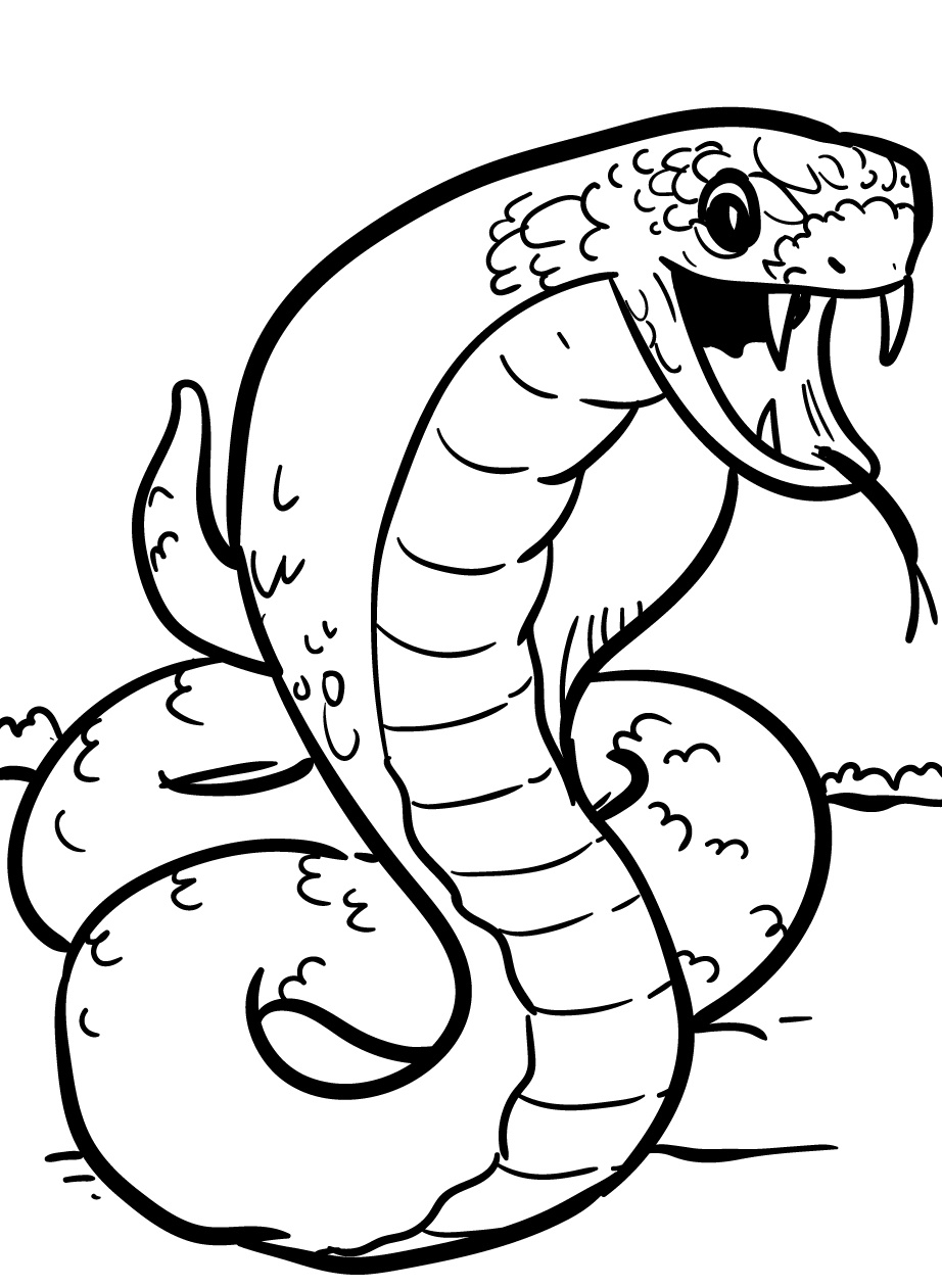 Snake Coloring Page 5 Snake Cobra Coloring Page