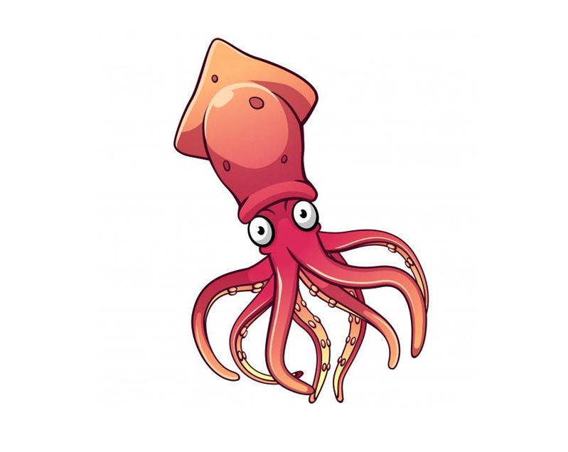 Squid Coloring Page 4 Squid Coloring Image