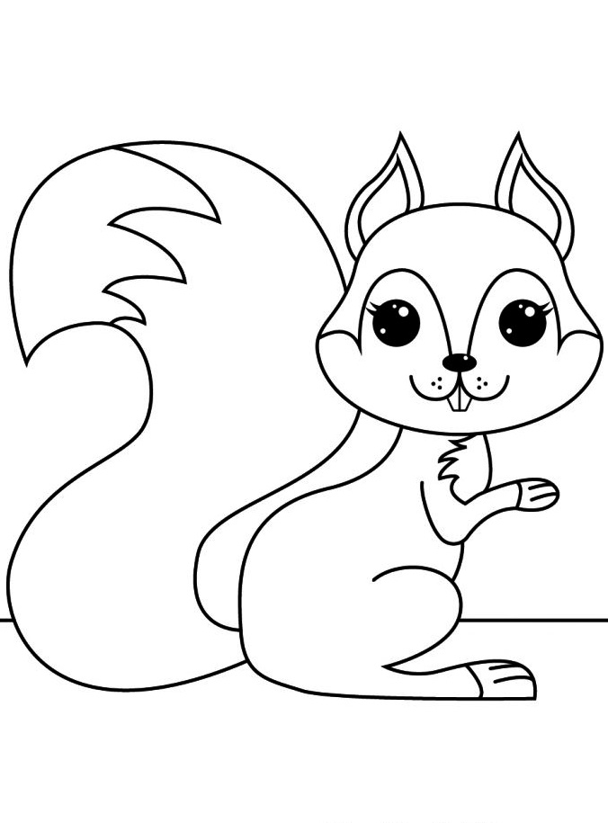 Agile and Smart Animals Squirrel Coloring Page 6 Squirrel Coloring Page