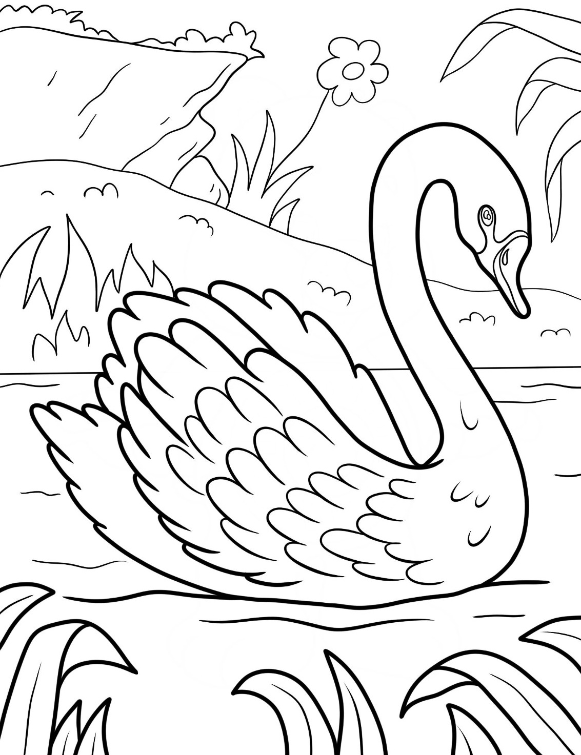 The Graceful Bird Swan Coloring Page 7 Swan Coloring Pages