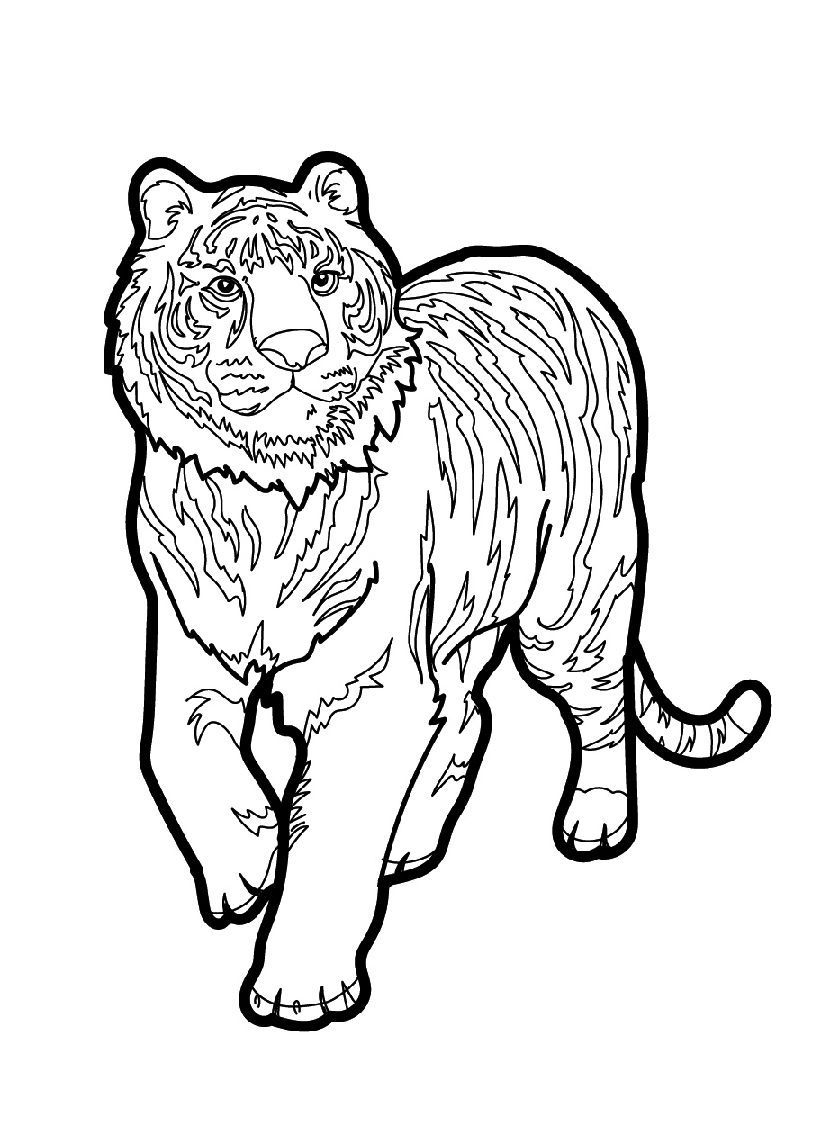 Tiger Coloring Page Download