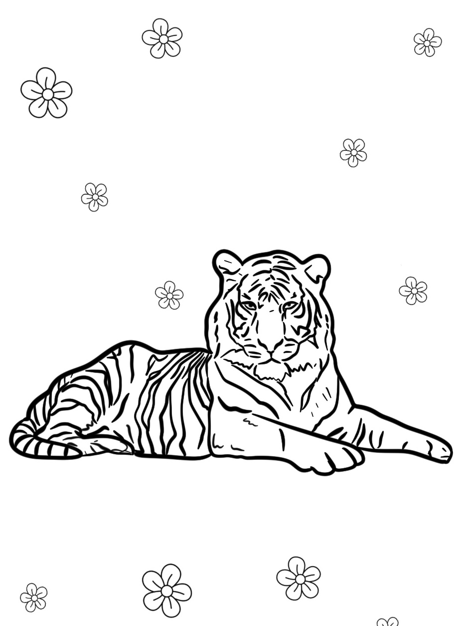 Tiger Coloring Sheet Printable