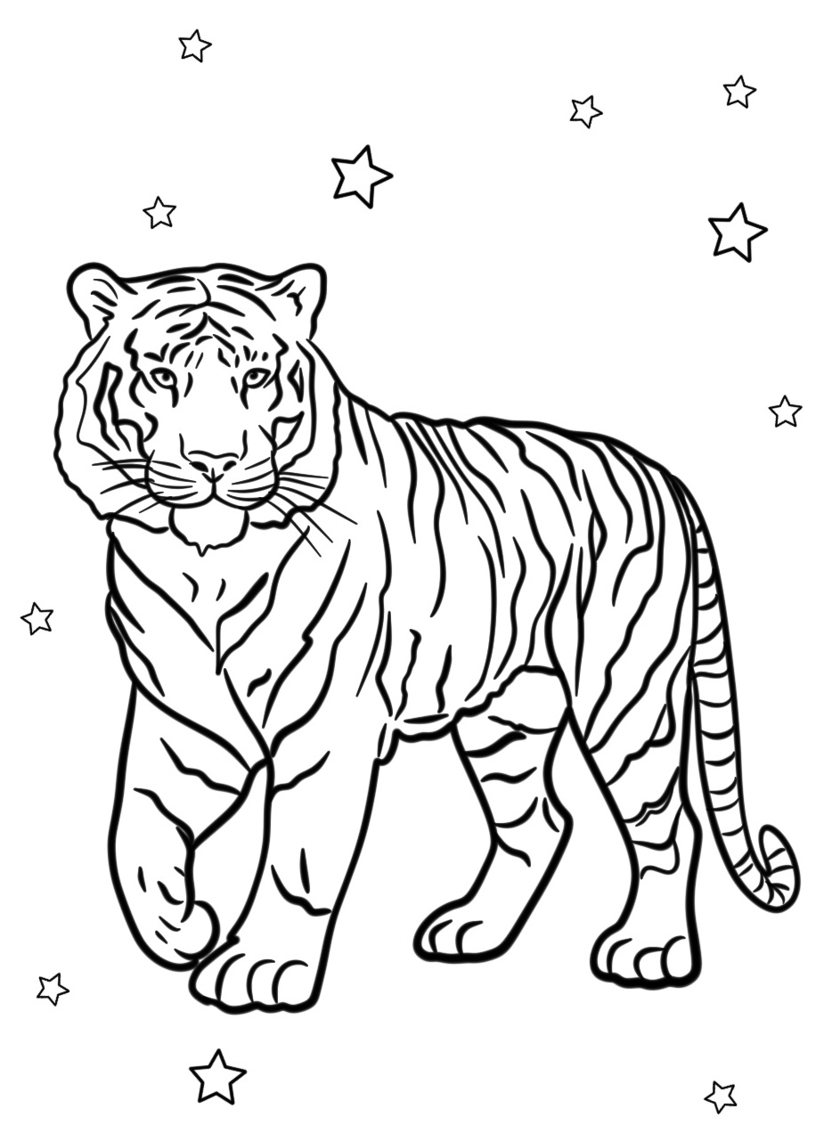 Tiger Coloring Sheet