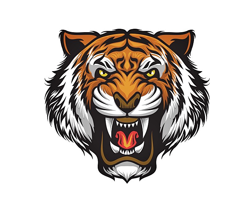 Tiger Head Coloring Page 2 Tiger Head Coloring Image