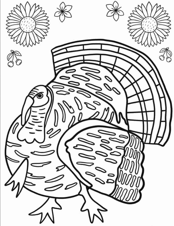Unique Bird Turkey Coloring Page 3 Turkey Bird ColoringPage