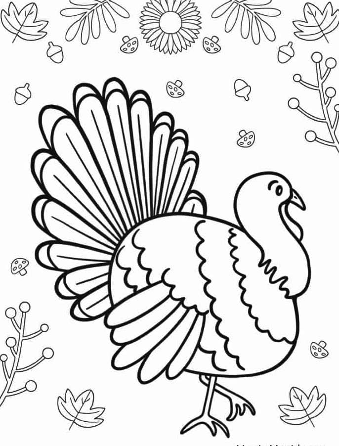 Unique Bird Turkey Coloring Page 4 Turkey Coloring Page Download
