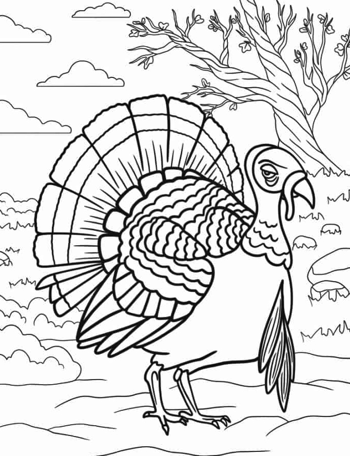 Unique Bird Turkey Coloring Page 6 Turkey Coloring page