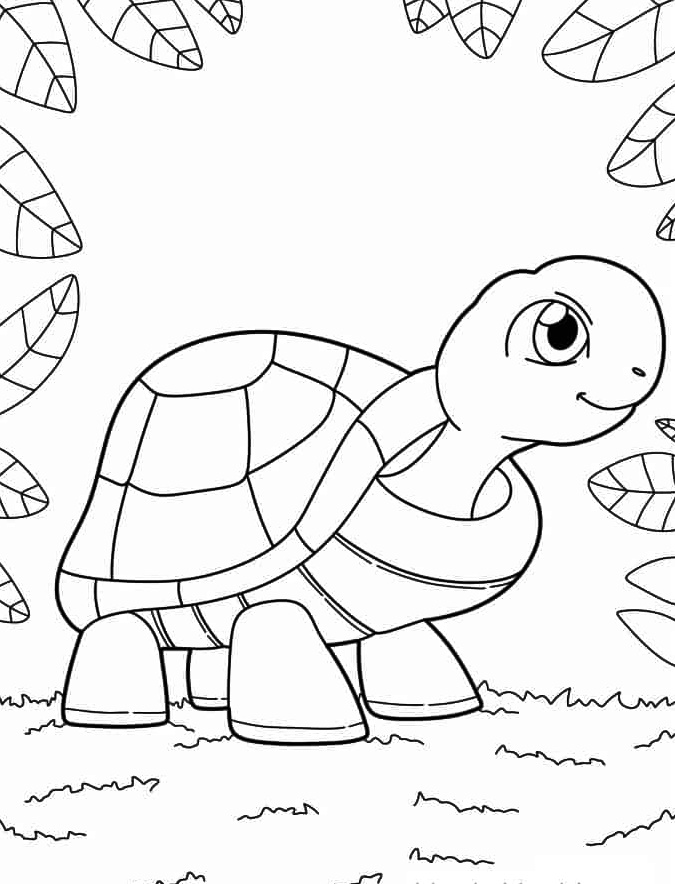 Turtle Coloring Page Download