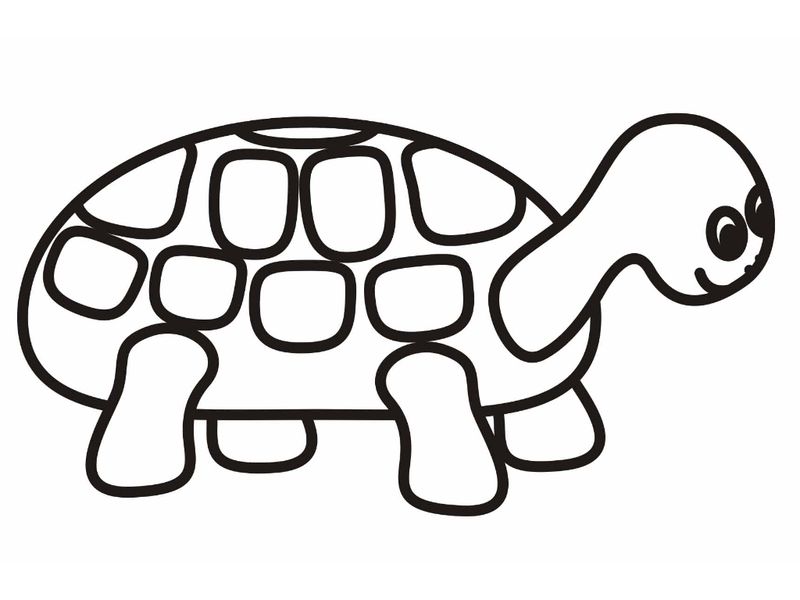 Turtle Coloring Pages For Toddlers