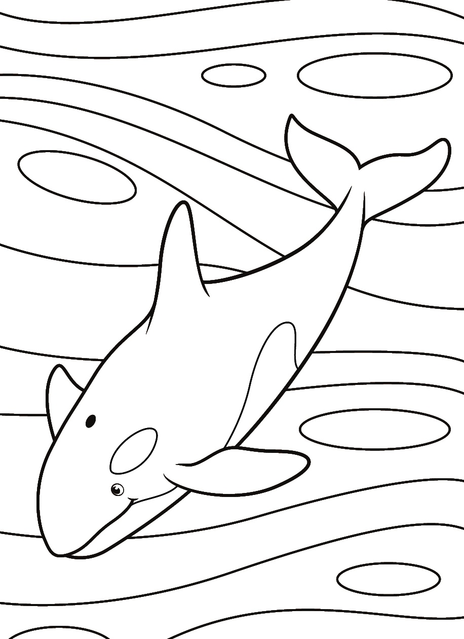 Amazing Sea Giants, Whale Coloring page 1 Whale Coloring Page Download