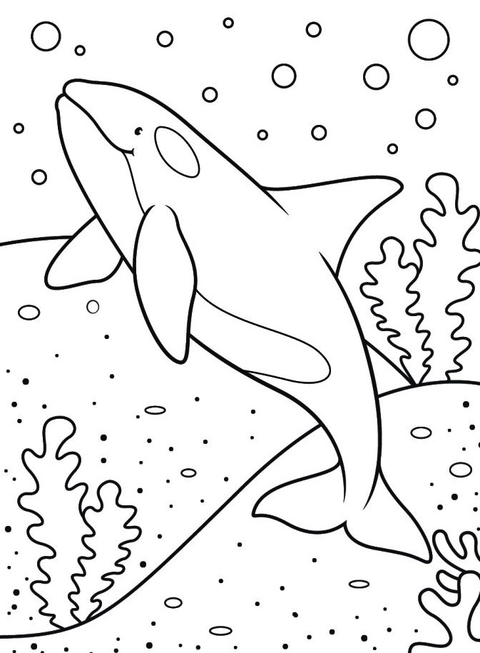 Amazing Sea Giants, Whale Coloring page 2 Whale Coloring Page Free Download