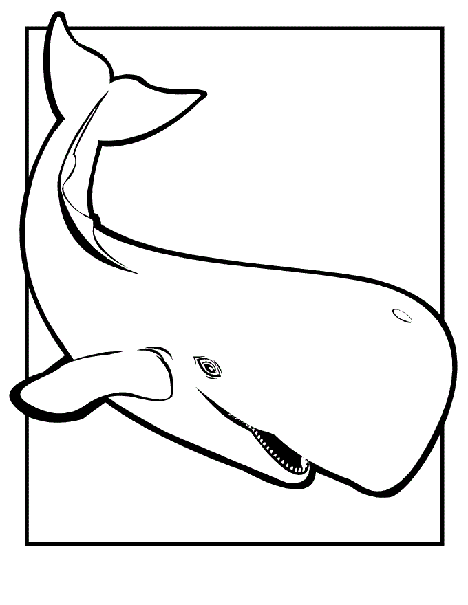 Amazing Sea Giants, Whale Coloring page 6 Whale Coloring Pages For Toddlers