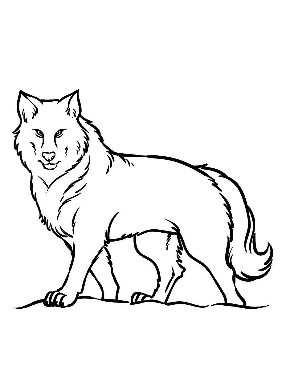 Unleash the Spirit of the Wild with a Wolf Coloring Page 5 Wolf Coloring Page Printable