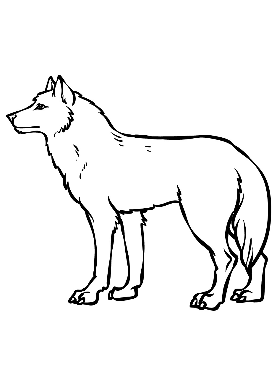 Unleash the Spirit of the Wild with a Wolf Coloring Page 7 Wolf Coloring Pages Print