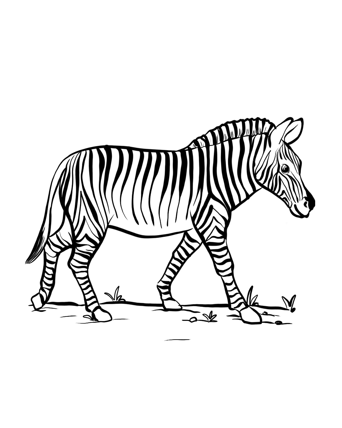 Zebra Coloring Page 3 Zebra Coloring Page Download