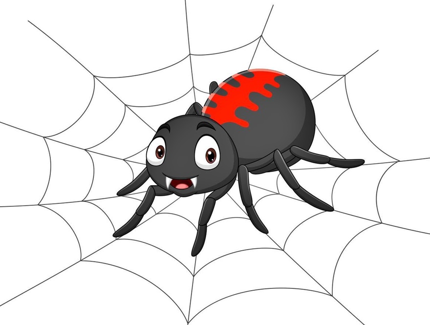 Spider Coloring Pages 8 spider image