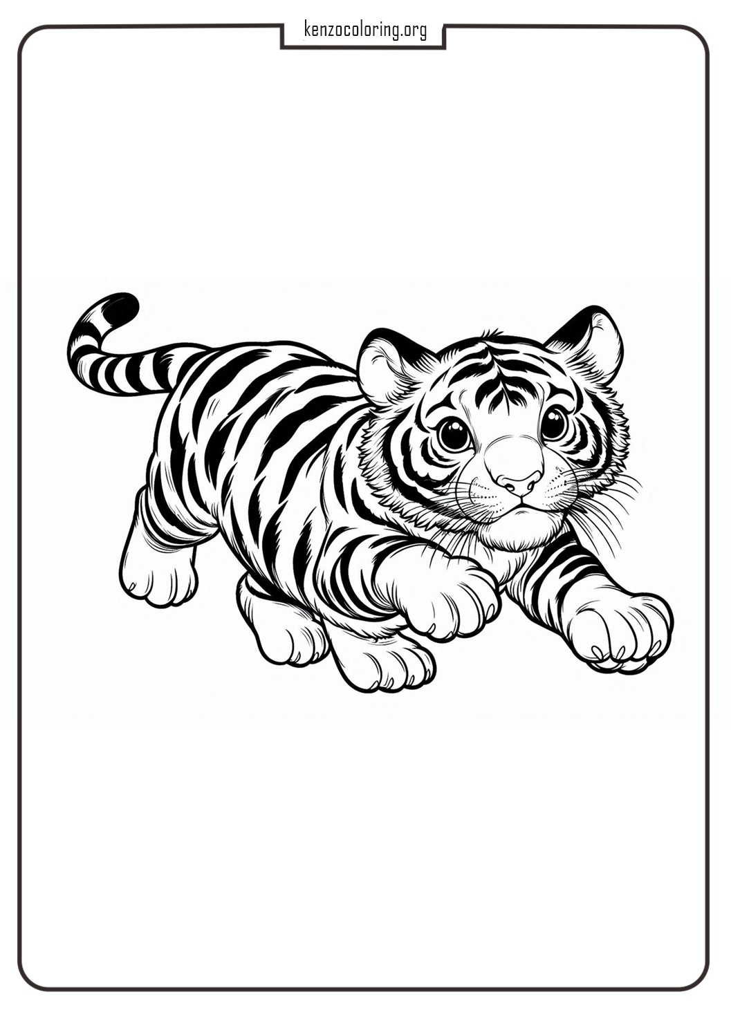 Baby Tiger Coloring Page 7 Online Coloring Pages of Baby Tiger