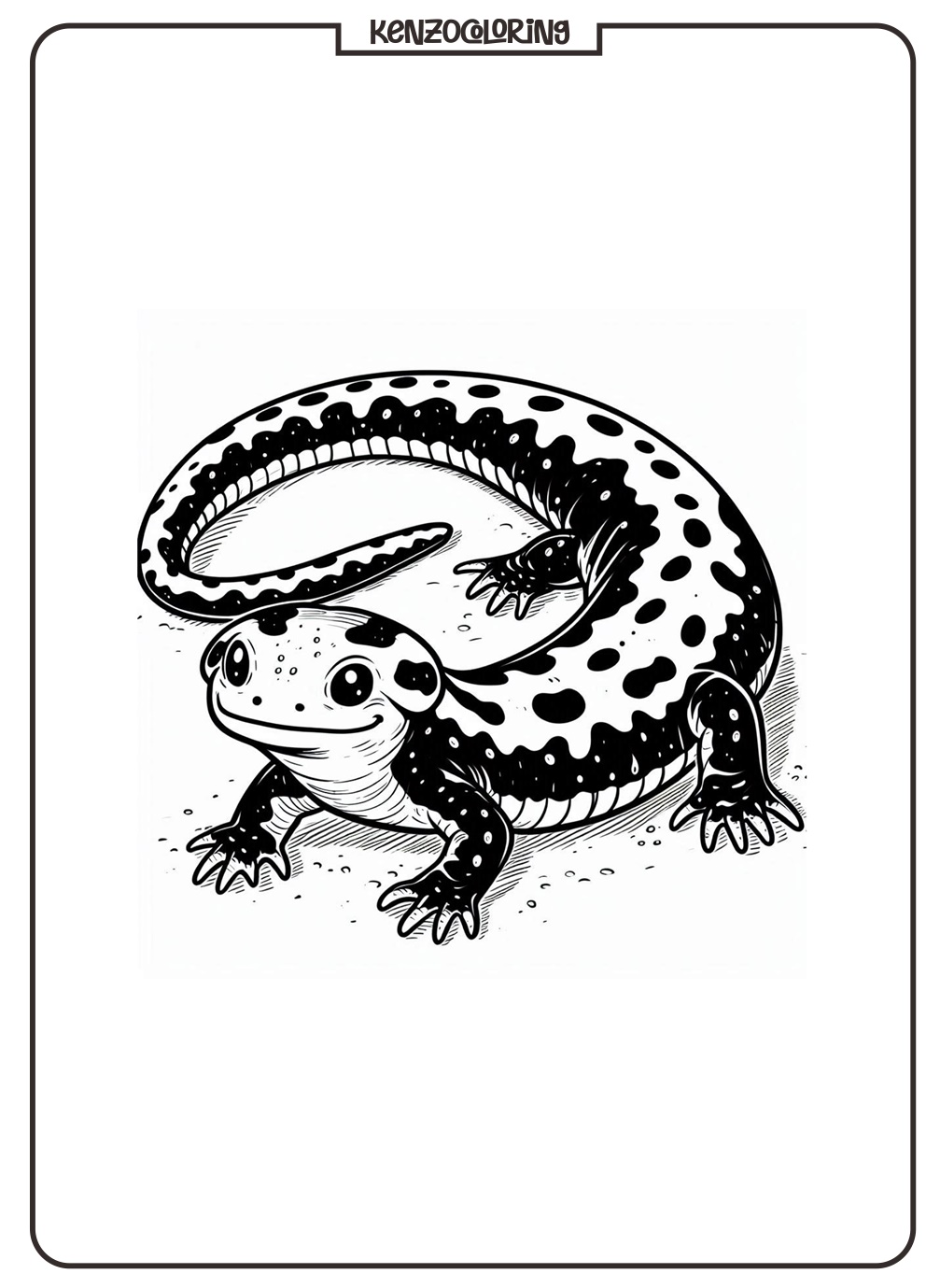 Salamander Coloring Pages 3 Salamander Coloring Online Page