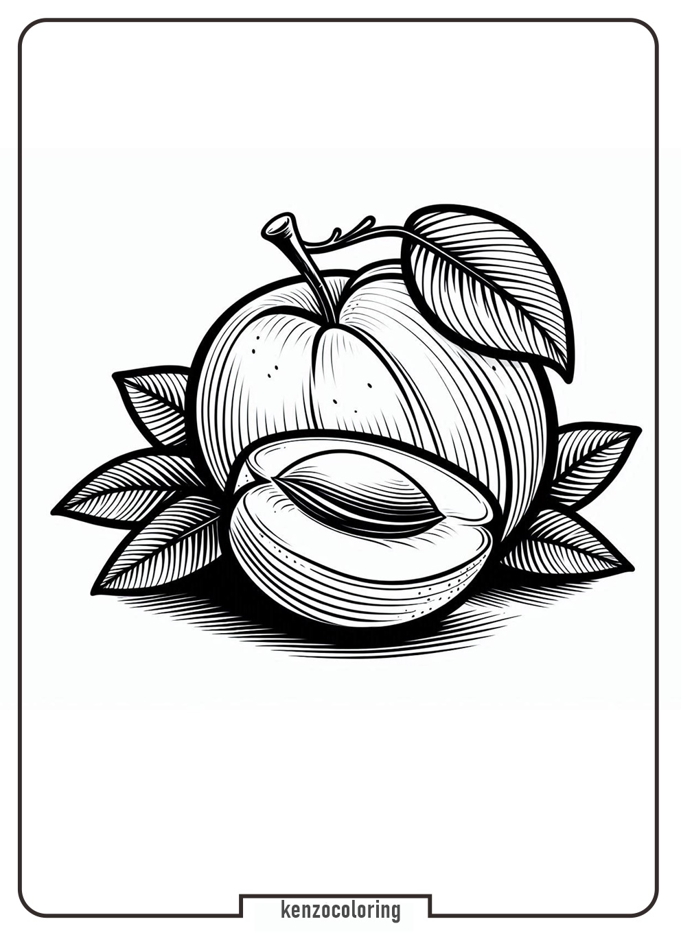 apricot fruit coloring pages for kids - kenzocoloring