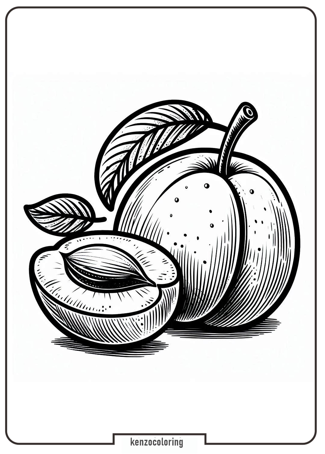 apricot fruit coloring pages - kenzocoloring