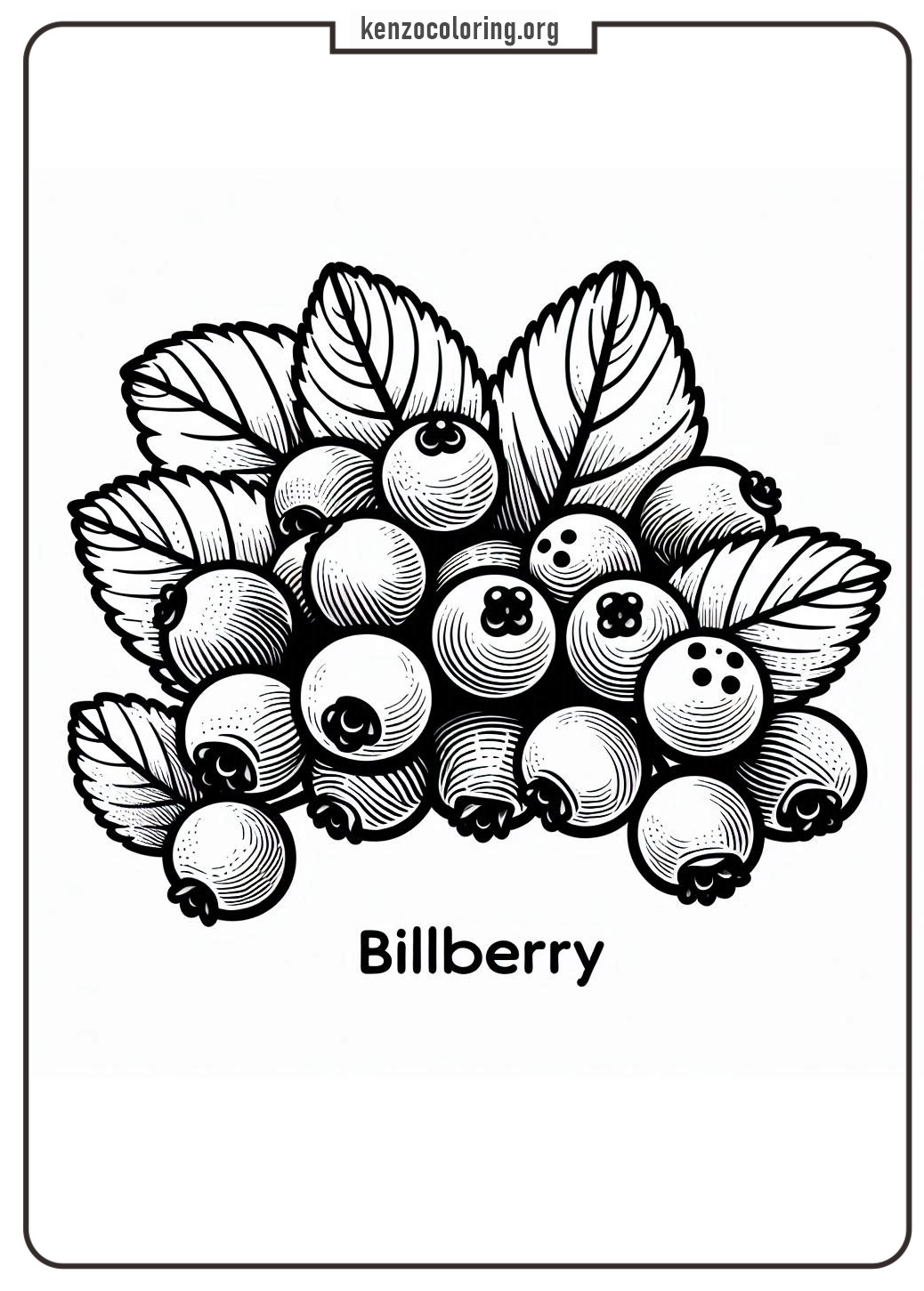 Bilberry Coloring Pages for Kids 1 bilberry coloring book