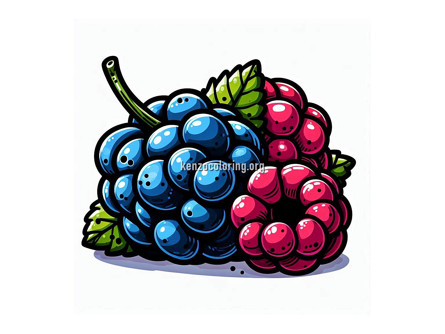 Bilberry Coloring Pages for Kids 4 image a billberry fruit coloring