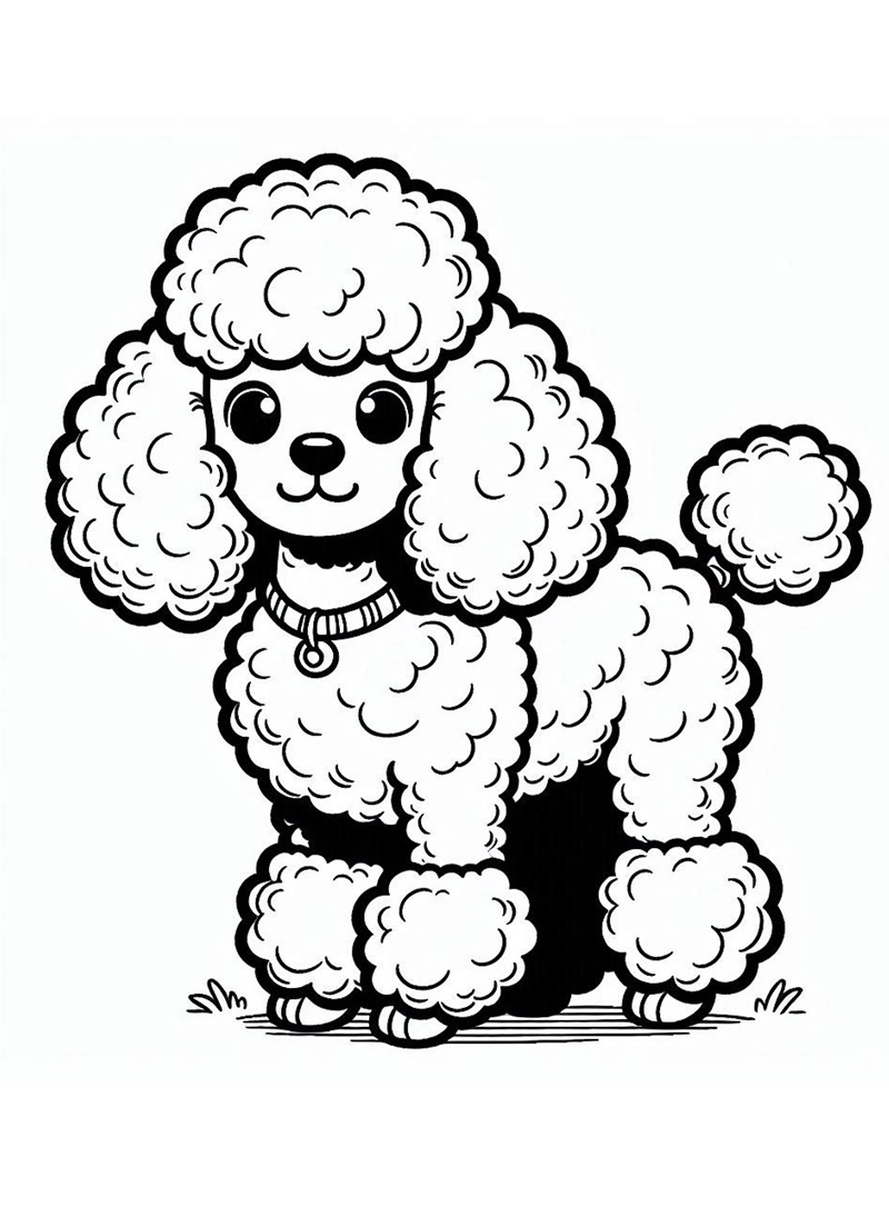 Cute Curly Poodle Coloring Page 4 Poodle Coloring Online Pages for Kids