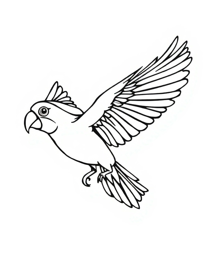 Parrot in Flight Coloring Pages 1 parrot in flight coloring page - kenzocoloring.org