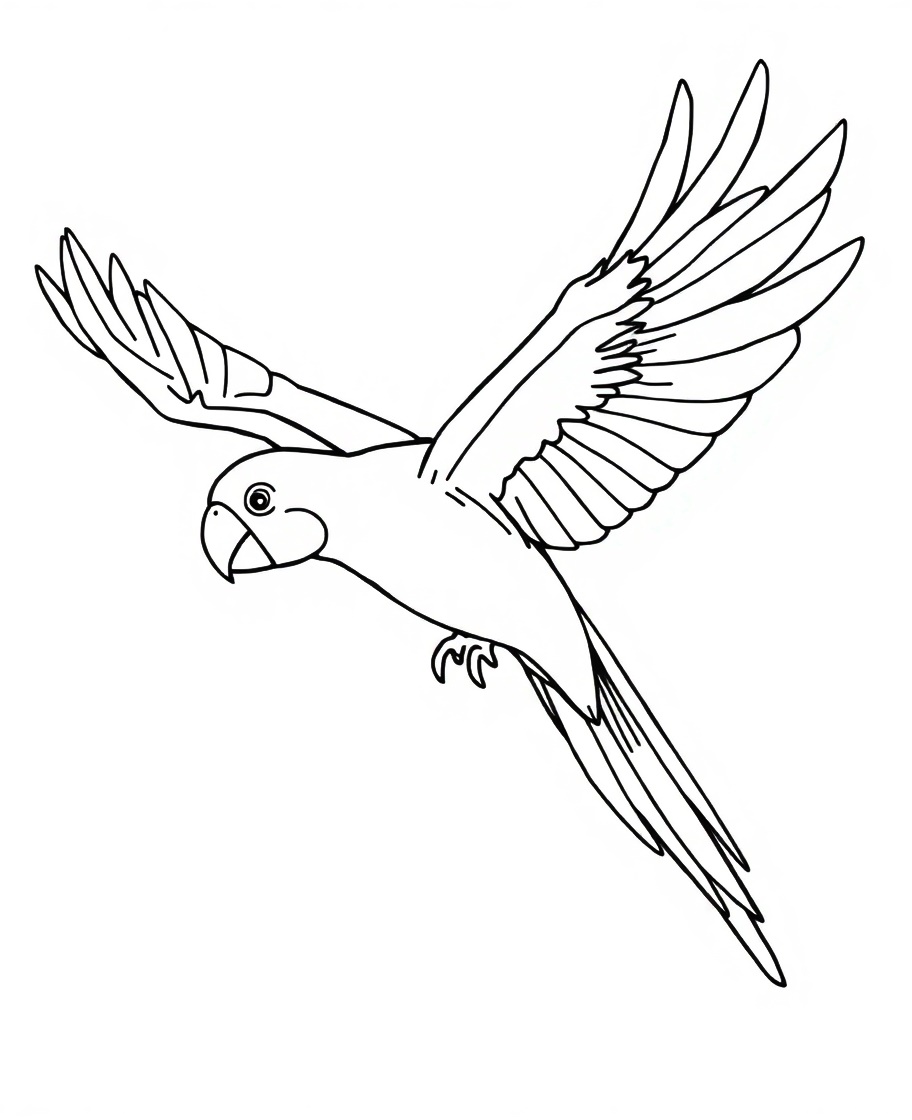 Parrot in Flight Coloring Pages 2 parrot in flight coloring pages - kenzocoloring.org