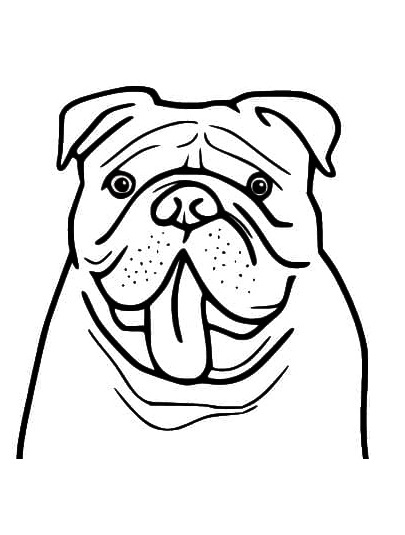 Bulldog Head Coloring Page 2 Face Bulldog Coloring Pages - kenzocoloring.org