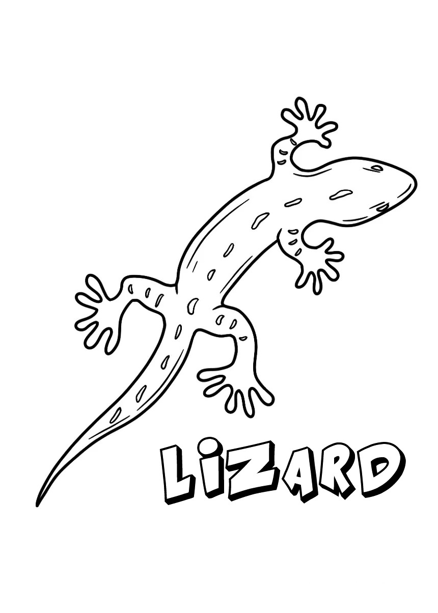 Amazing Reptiles Lizards Coloring Page 2 Lizards Coloring Page for kids - Kenzocoloring.org